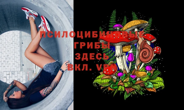метадон Мегион