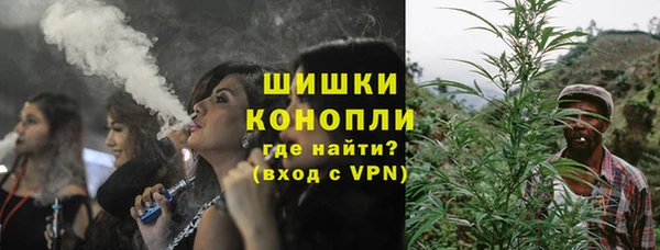 стаф Магас